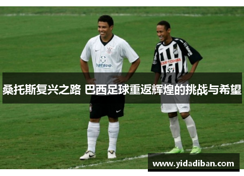 桑托斯复兴之路 巴西足球重返辉煌的挑战与希望